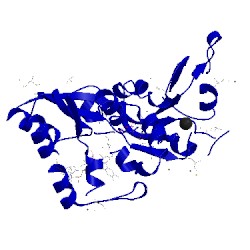 Image of CATH 1rpz