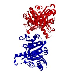 Image of CATH 1rq2