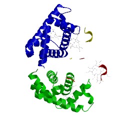 Image of CATH 1rq4