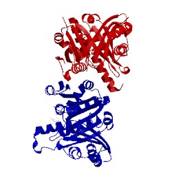 Image of CATH 1rq7