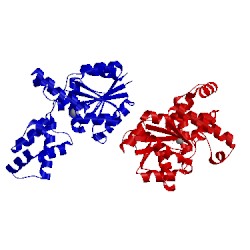 Image of CATH 1rql