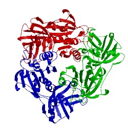 Image of CATH 1rqp