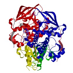 Image of CATH 1rqq