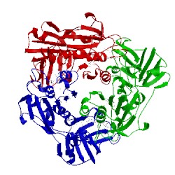 Image of CATH 1rqr