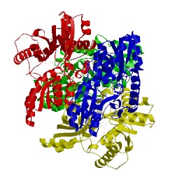 Image of CATH 1rqx