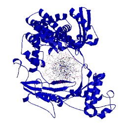 Image of CATH 1rrj
