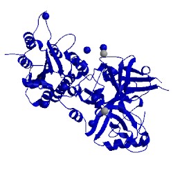 Image of CATH 1rrk