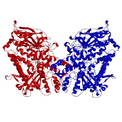 Image of CATH 1rrl