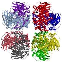 Image of CATH 1rsc