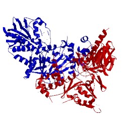 Image of CATH 1rsg