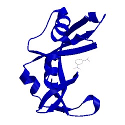 Image of CATH 1rsm