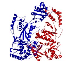 Image of CATH 1rt6