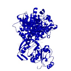 Image of CATH 1ru3