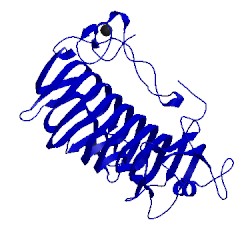 Image of CATH 1ru4