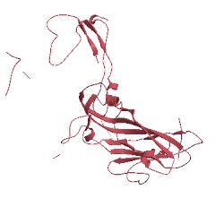 Image of CATH 1rui