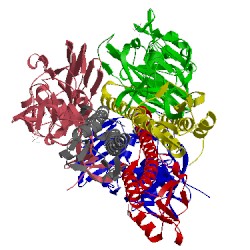 Image of CATH 1rv0