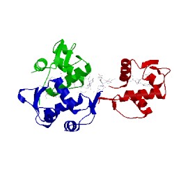 Image of CATH 1rv1