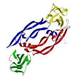 Image of CATH 1rv6