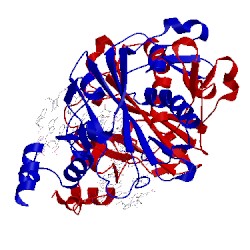 Image of CATH 1rva