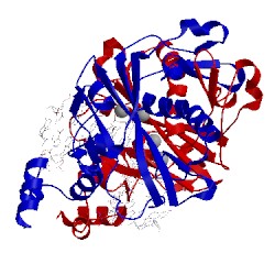 Image of CATH 1rvc