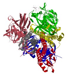 Image of CATH 1rvt