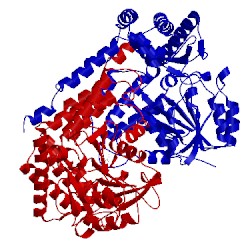 Image of CATH 1rvu