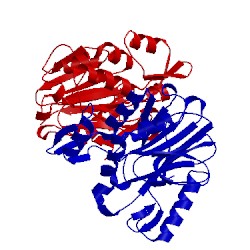 Image of CATH 1rw0