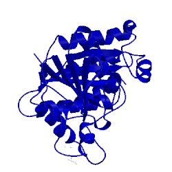 Image of CATH 1rw4