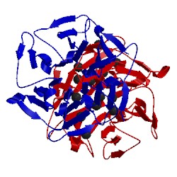 Image of CATH 1rwi