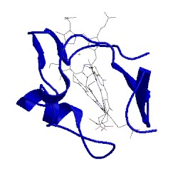 Image of CATH 1rwj