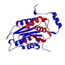 Image of CATH 1rwm