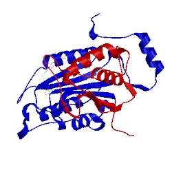 Image of CATH 1rwo