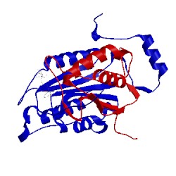 Image of CATH 1rwv