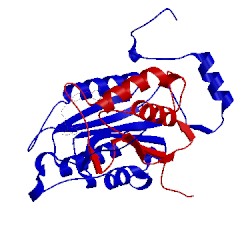 Image of CATH 1rwx