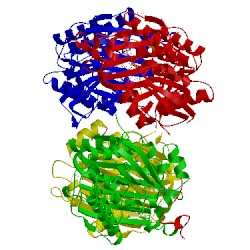 Image of CATH 1rye