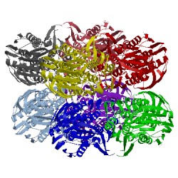 Image of CATH 1ryw