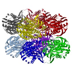 Image of CATH 1ryw