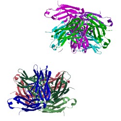 Image of CATH 1rzi