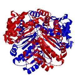 Image of CATH 1s07