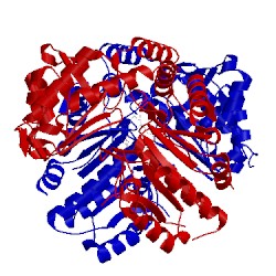 Image of CATH 1s08