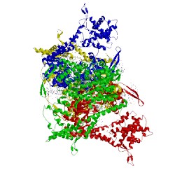 Image of CATH 1s0v