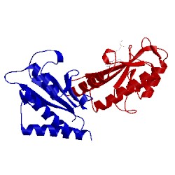 Image of CATH 1s1s