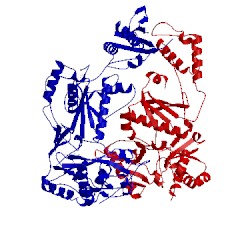 Image of CATH 1s1u