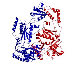 Image of CATH 1s1w