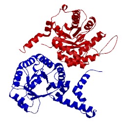 Image of CATH 1s2t