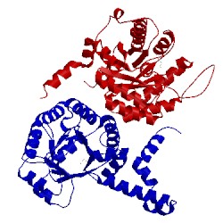 Image of CATH 1s2u