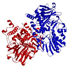 Image of CATH 1s2y