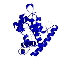 Image of CATH 1s36