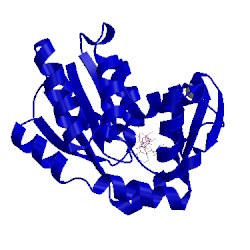 Image of CATH 1s3g