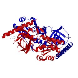 Image of CATH 1s4m